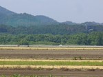 144007s-.jpg