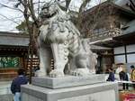 20060104寒川神社狛犬s-.jpg