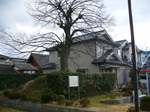 20070113今宿一里塚s-.jpg