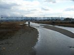 20070113野洲川s-.jpg