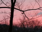 20070408上田城夕焼s-.jpg