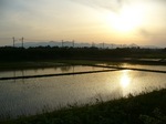20070523栗駒山s-.jpg