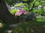 20070523弁慶墓2s-.jpg