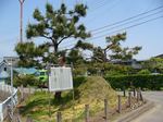 20070524境塚s-.jpg