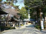 20071227松陰神社s-.jpg