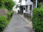 20080517かねさわ道s-.jpg