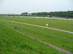 20080614江戸川s-.jpg