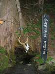 20080621弓弭の泉s-.jpg