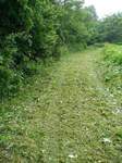 20080623蓑が坂刈り込み後s-.jpg
