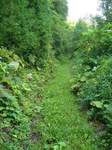 20080904高山への山道s-.jpg