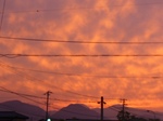 20081014富谷宿s-.jpg
