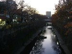 20081129石神井井川s-.jpg