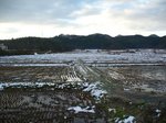 20081217雪s-.jpg