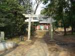 20090203左馬神社s-.jpg