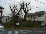 20090203鷹見塚s-.jpg