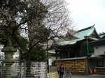 20090205町田天満宮s-.jpg