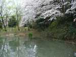 20090404姿見の池s-.jpg