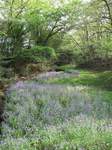 20090418菅谷城跡2s-.jpg