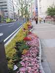 20090429高崎花祭り1s-.jpg