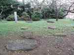 20090923国分寺s-.jpg