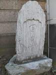 20100118馬力神2s-.jpg