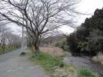 20100318十王川s-.jpg