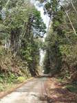 20100406十王坂s-.jpg