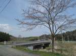 20100406十王川 s-.jpg
