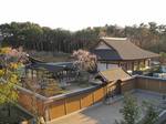 20100425吹風殿s-.jpg