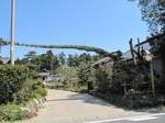 20100425門かぶり松s-.jpg