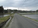 20100429田園風景s-.jpg