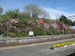 20100509末続駅s-.jpg