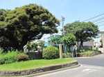 20100617西ヶ原一里塚s-.jpg