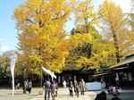 20101127大宮八幡s-.jpg