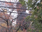 20101127東京大仏s-.jpg