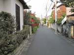 20101127練馬道s-.jpg