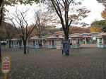 20101127豊島園s-.jpg