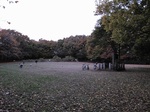 20101127赤塚城址s-.jpg