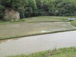 2010509田植s-.jpg