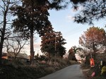 20110104大坂s-.jpg