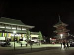 20110104成田山本堂s-.jpg