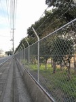 20110104習志野自衛隊基地s-.jpg