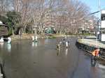 20110305三島湧水s-.jpg