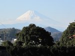 20110305広瀬神社からの富士s-.jpg