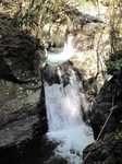 20110404えび滝s-.jpg