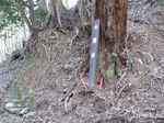 20110404小鍋峠1s-.jpg