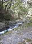 20110404猿田淵s-.jpg