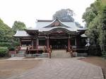 20110503武蔵野八幡宮s-.jpg