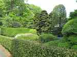 20110504砂川家前庭s-.jpg
