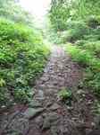 20110620湯坂路石畳s-.jpg